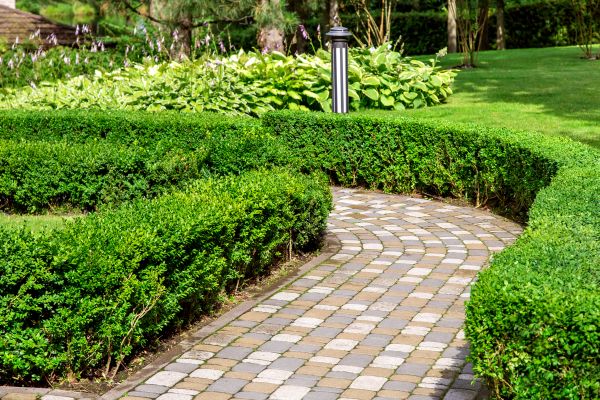 Paved Landscaping in Burnsville
