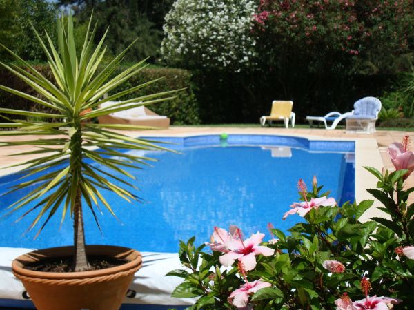 Pool Terrace Renovation in Burnsville